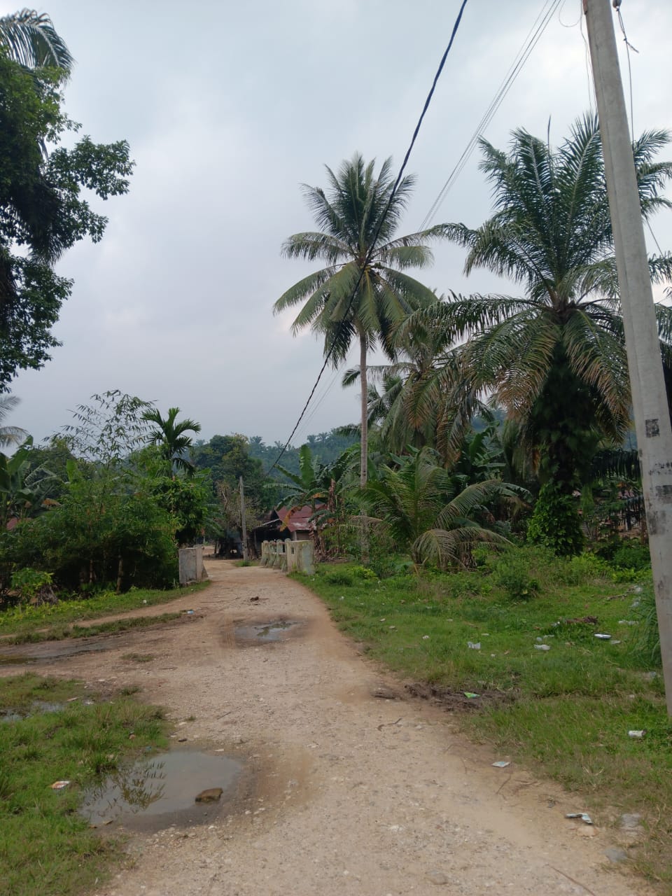 Jalan menuju Lorong Cempaka